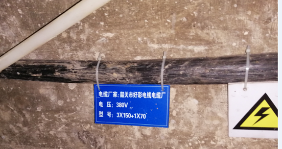 2025新澳门免费原料网大全