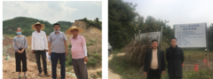 阳江市阳东区新洲镇正狗坑陶瓷用高岭土矿年产20.00万吨高岭土露天开采项目现状评价报告